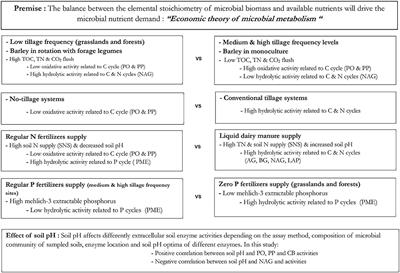 Carbon, Nitrogen, Phosphorus, and Extracellular Soil Enzyme Responses to Different Land Use